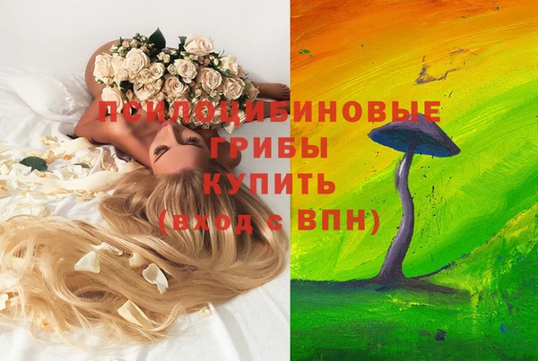 кокс Баксан