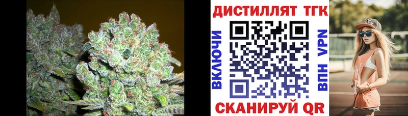 кракен рабочий сайт  сколько стоит  Олонец  ТГК вейп с тгк 