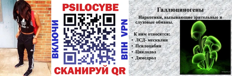 Псилоцибиновые грибы GOLDEN TEACHER  Олонец 
